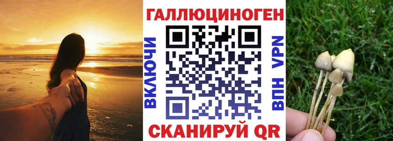 ссылка на мегу ONION  купить закладку  Азнакаево  Галлюциногенные грибы Psilocybine cubensis 